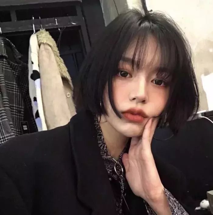 驯鹰者的崛起
